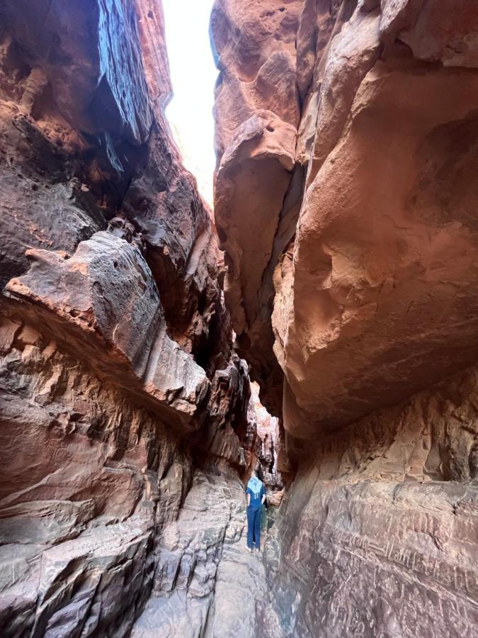 Wadi Rum Trip Εξωτερικό φωτογραφία
