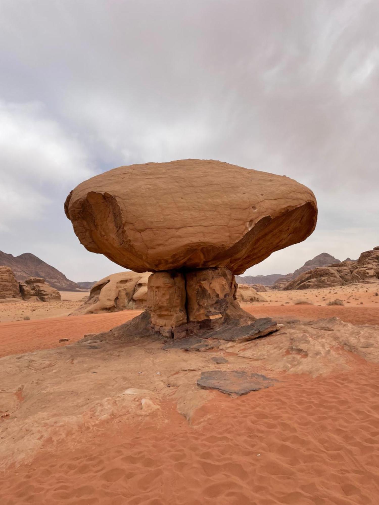 Wadi Rum Trip Εξωτερικό φωτογραφία